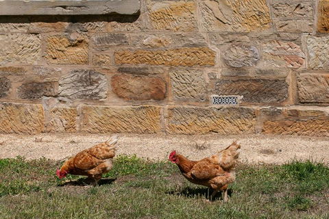 Historic Sandstone Ross Farmhouse - Accommodation ACT 2