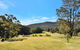 Hunter Valley Kangaroo Retreat With 60 Kangaroos - thumb 1