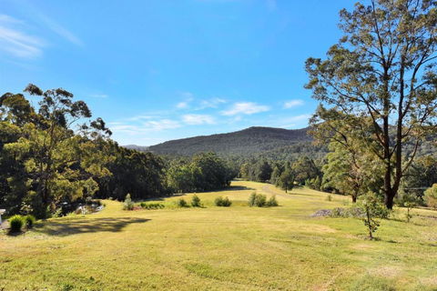 Hunter Valley Kangaroo Retreat With 60 Kangaroos - Accommodation ACT 1