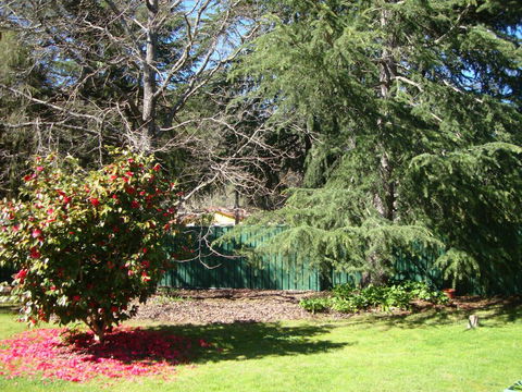 Ageri Holiday House - Accommodation ACT 1