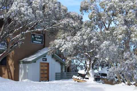 Alpine Retreat Mt Buller - Accommodation ACT 0
