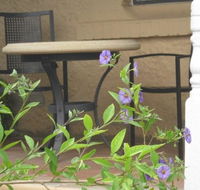 Amalie Cottage Waikerie - Accommodation ACT