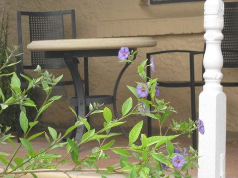 Amalie Cottage Waikerie - Accommodation ACT 0