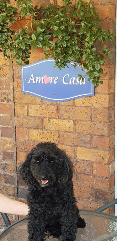 Amore Casa Tenterfield - Accommodation ACT 2