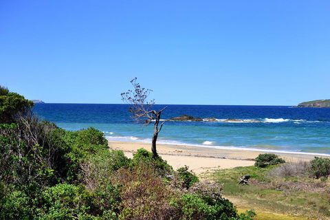 Aqualuna Beach Resort - Unit 25 - Accommodation ACT 3