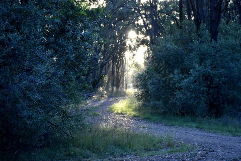 On Bell Glamping - Accommodation ACT 3