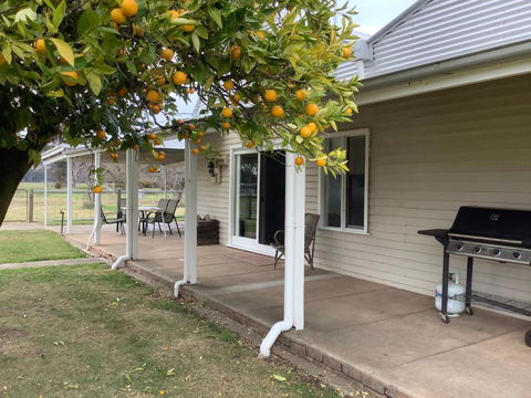 Orange Tree Cottage - Accommodation ACT 0