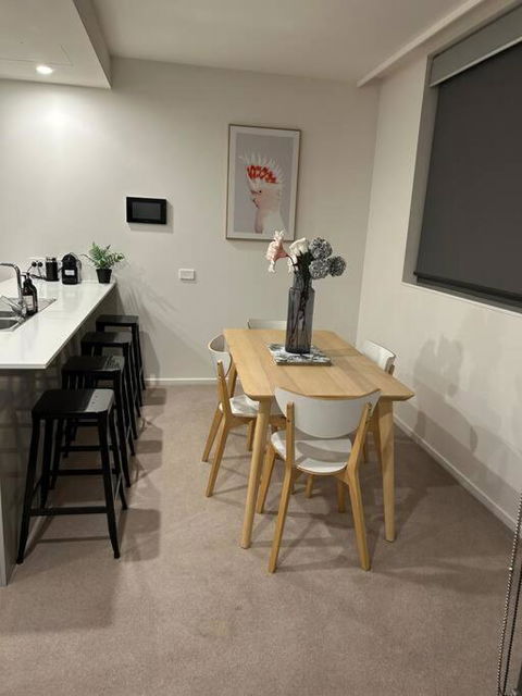 Plush Apartment On Mort - Accommodation ACT 2