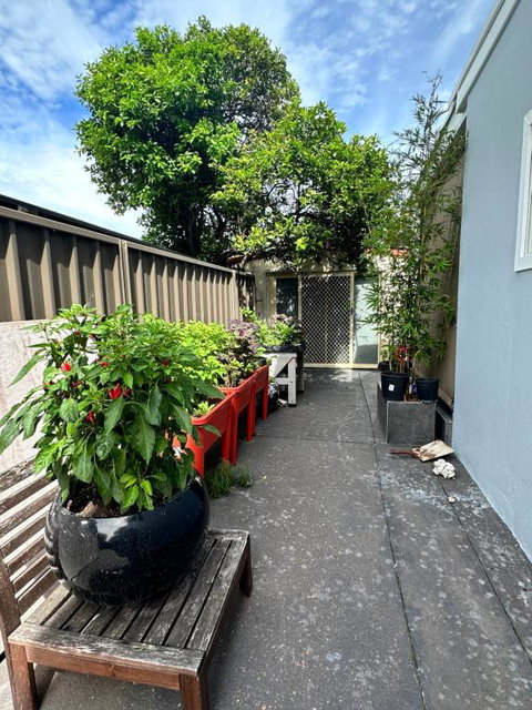 Private, Local Living Studio In Mascot, Airport - Accommodation ACT 2