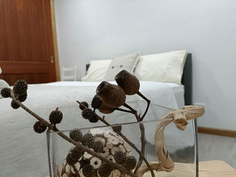 Quiet Nature-Filled Ground Floor Unit - Accommodation ACT 1