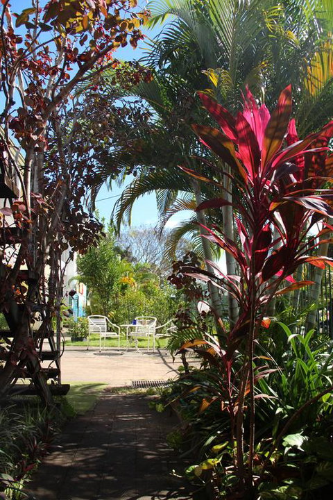 Asylum Cairns Hostel - Accommodation ACT 0