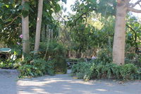 Book Macclesfield Accommodation Vacations Accommodation ACT Accommodation ACT