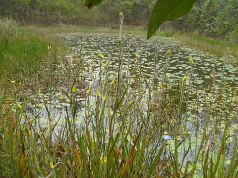 Back To The Bush - Accommodation ACT 3