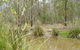 Back To The Bush - thumb 2