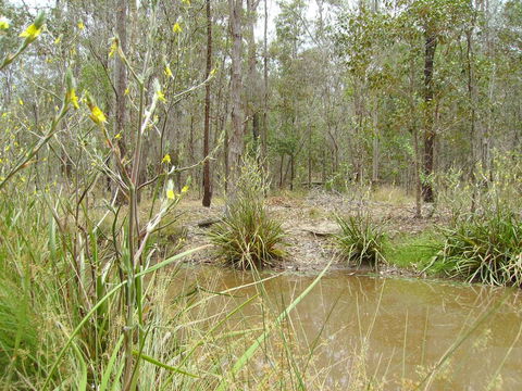Back To The Bush - Accommodation ACT 2