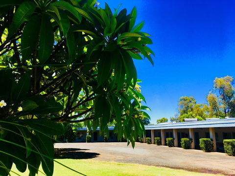 Balonne River Motor Inn - Accommodation ACT 0