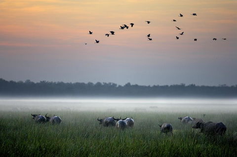 Bamurru Plains - Accommodation ACT 0