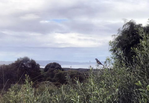 Banksia @ Cosy Corner - Accommodation ACT 1