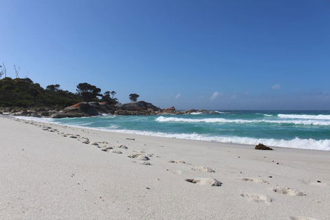 Barefoot Beach House - Accommodation ACT 1