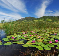 Barrington Hideaway- River Cottages - Accommodation ACT