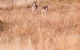 Rose Quartz - 1 Bed With Mountain Views - Kundalini Lodge - thumb 2