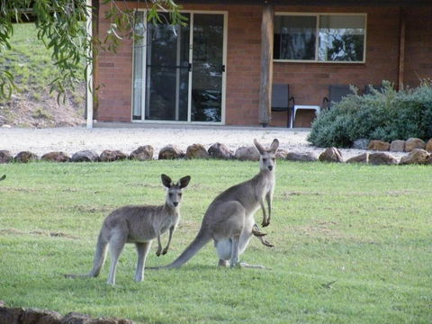 Rubyvale Motel & Holiday Units - An Adults Only Getaway - Accommodation ACT 3