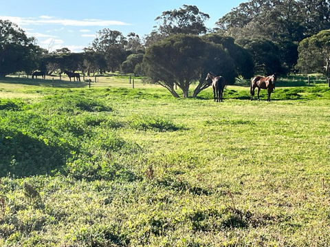 Secluded Rural Retreat In Southwest WA - Accommodation ACT 3