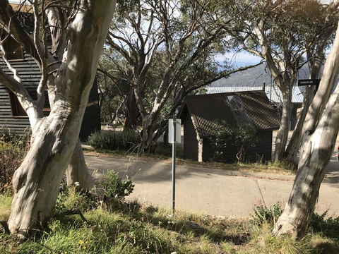 Beehive 18 - Accommodation ACT 1