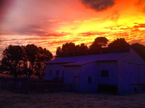 Beggs Farmstay B&B - Accommodation ACT 1