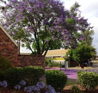 Belvoir Village Motel  Apartments Wodonga - Accommodation ACT