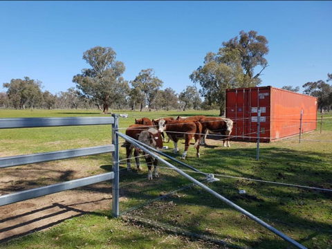 Big Tiny Jindera Park - Accommodation ACT 2