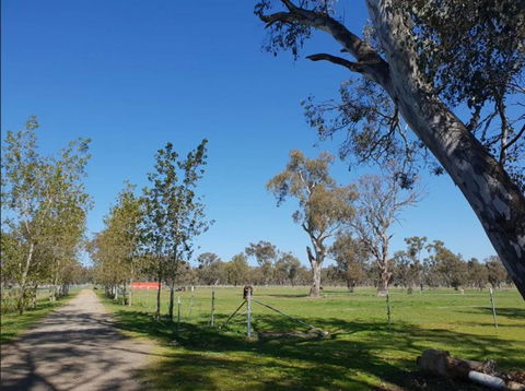Big Tiny Jindera Park - Accommodation ACT 3