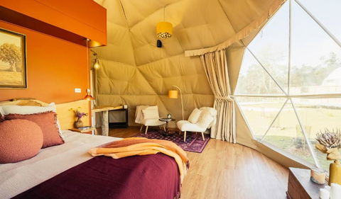 Wilder Tasmania - Accommodation ACT 3