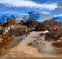 The Big Wave Rock Private Day Tour - Accommodation ACT