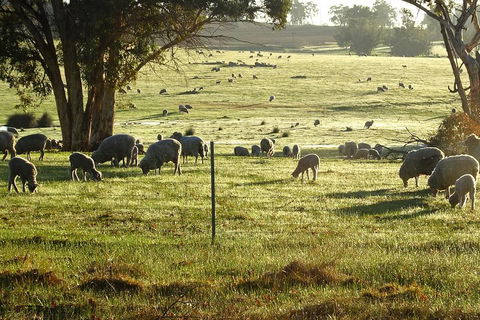 The Big Wave Rock (Private) Day Tour - Accommodation ACT 1