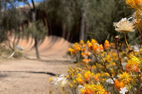 The Big Wave Rock (Private) Day Tour - Accommodation ACT 3