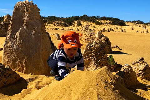 Perth Kids Explorer (Private) Day Tour - Accommodation ACT 3