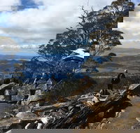 kunanyi / Mt Wellington Explorer Bus - 2 Hour Return Tour - Accommodation ACT