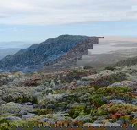 kunanyi/Mt Wellington Explorer Bus - One Way Tour - Accommodation ACT