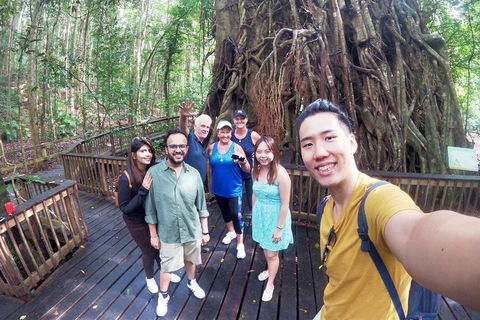 Cairns 4WD Waterfall And Rainforest Tour Including Kuranda Scenic Railway - Accommodation ACT 0