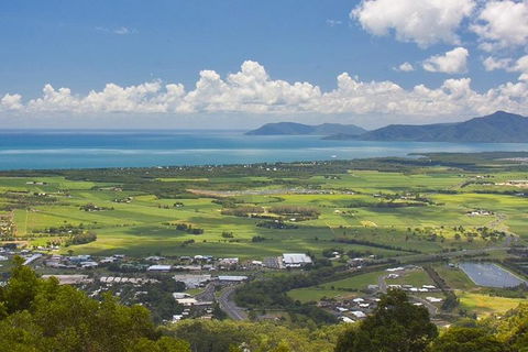 Cairns 4WD Waterfall And Rainforest Tour Including Kuranda Scenic Railway - Accommodation ACT 5