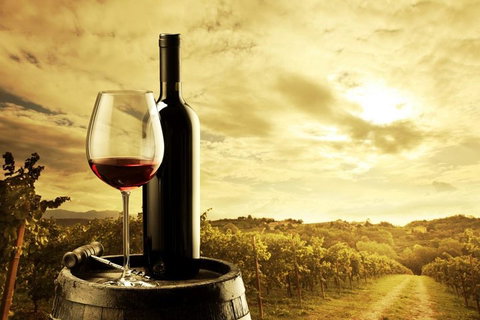 McLaren Vale Luxury Wine Tour - Accommodation ACT 0