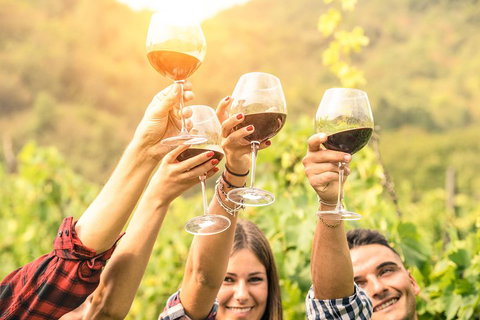 McLaren Vale Luxury Wine Tour - Accommodation ACT 2