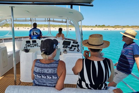 Snubfin Dolphin Eco Cruise From Broome - Accommodation ACT 5