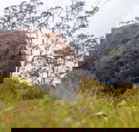 3-Day Cradle Mountain Photography Workshop - Accommodation ACT