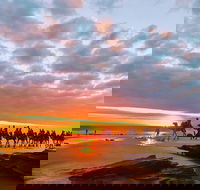 1 Hour Broome Sunset Camel Tour - Accommodation ACT