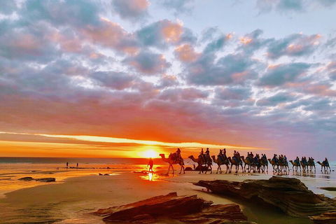 1 Hour Broome Sunset Camel Tour - Accommodation ACT 0