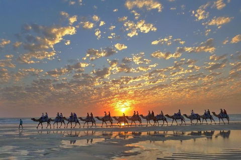 1 Hour Broome Sunset Camel Tour - Accommodation ACT 1