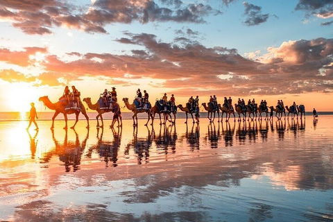 1 Hour Broome Sunset Camel Tour - Accommodation ACT 2