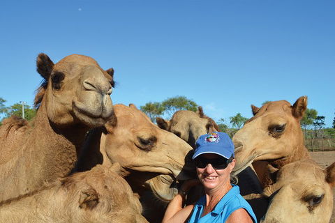 1 Hour Broome Sunset Camel Tour - Accommodation ACT 3